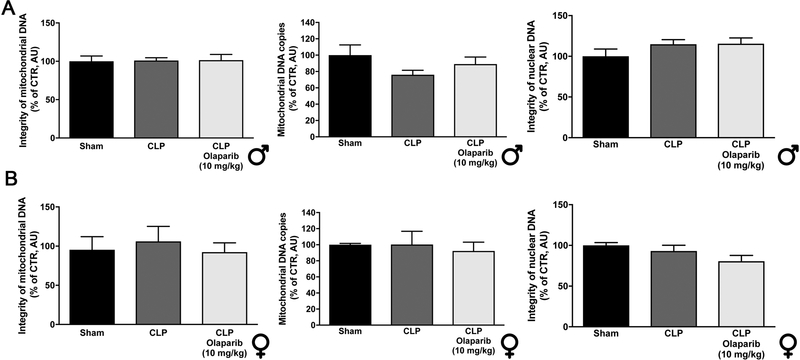 Figure 23.