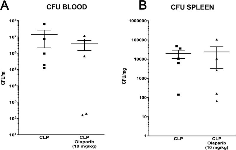 Figure 18.