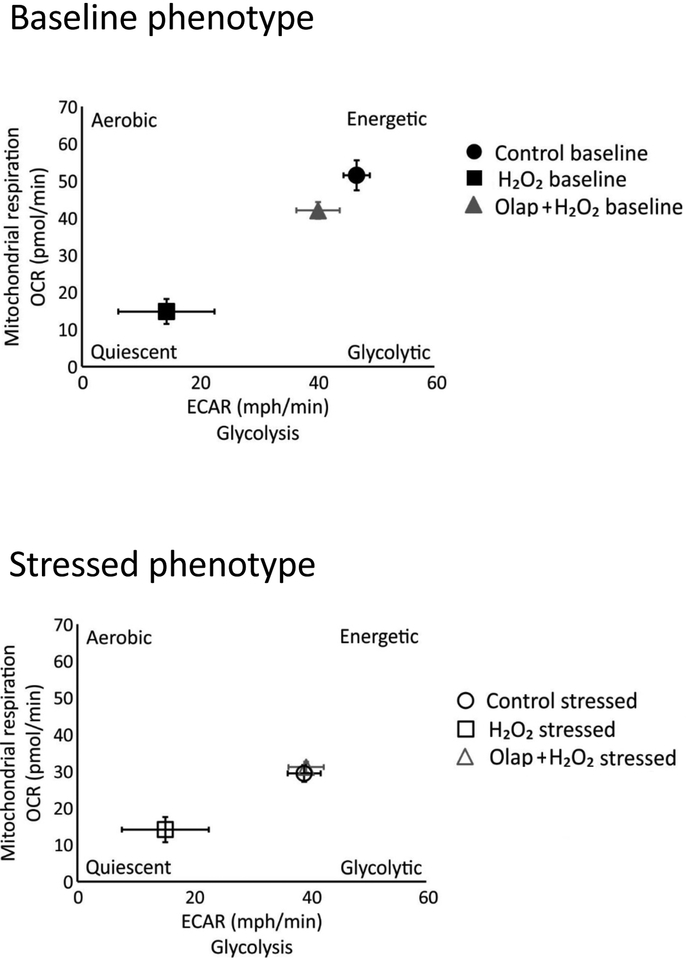 Figure 29.