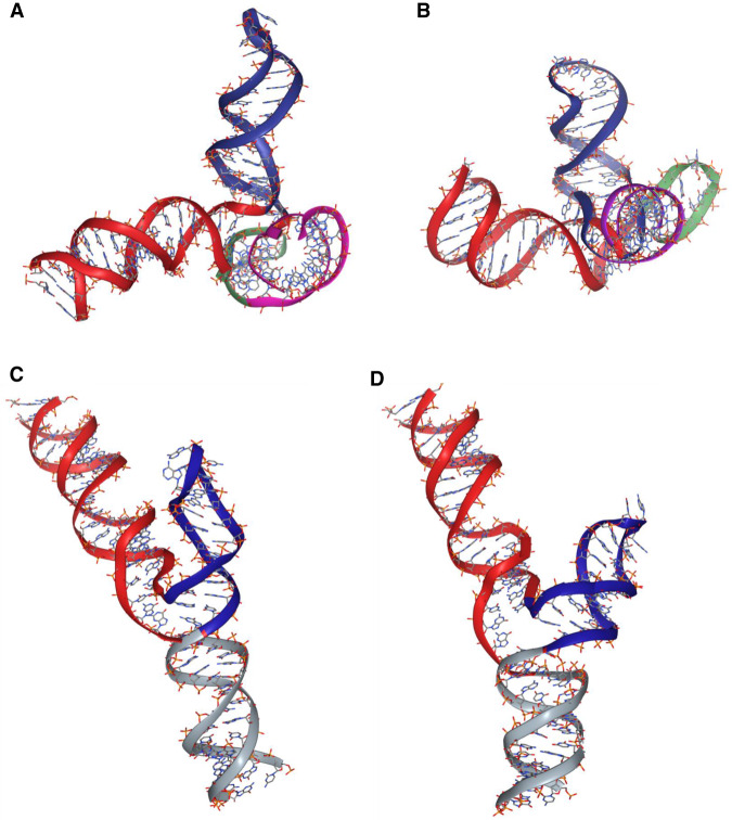 FIGURE 3.