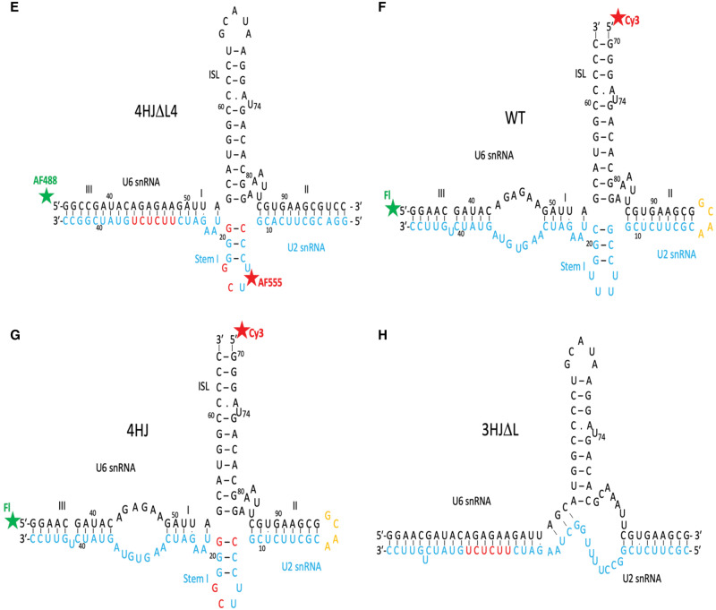 FIGURE 1.