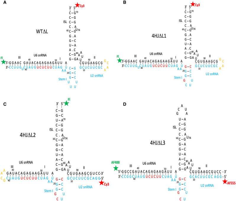 FIGURE 1.