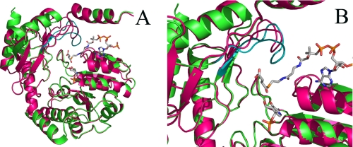 FIGURE 1.