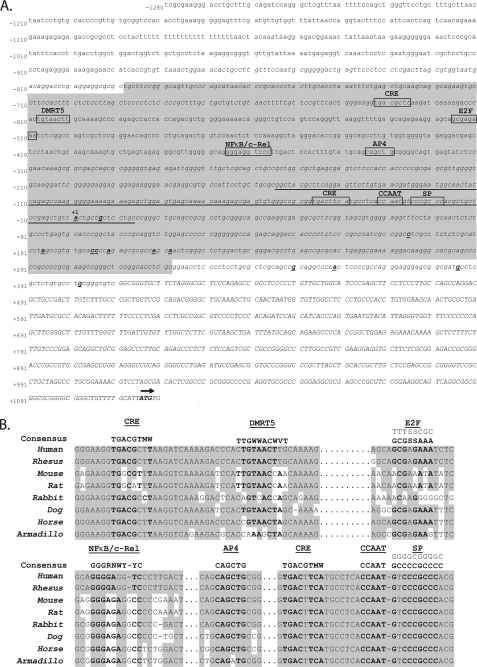 FIGURE 1.