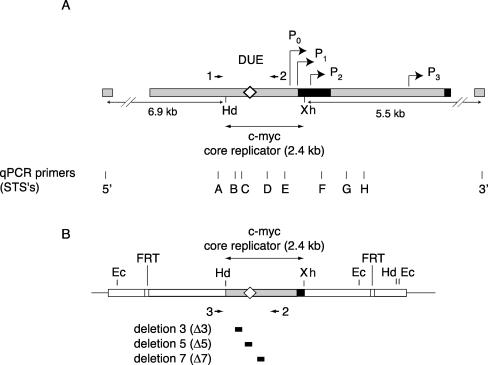 FIG. 1.