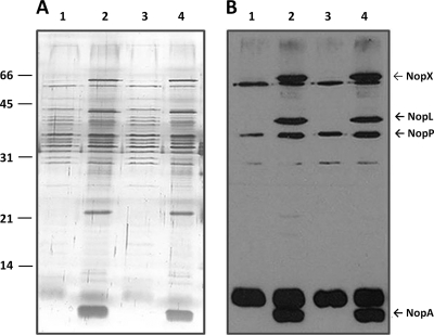 FIG. 6.