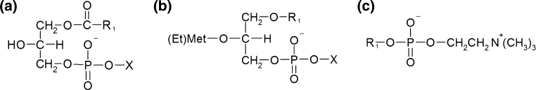 Fig. 1