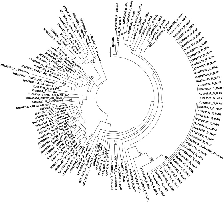 Fig. 1