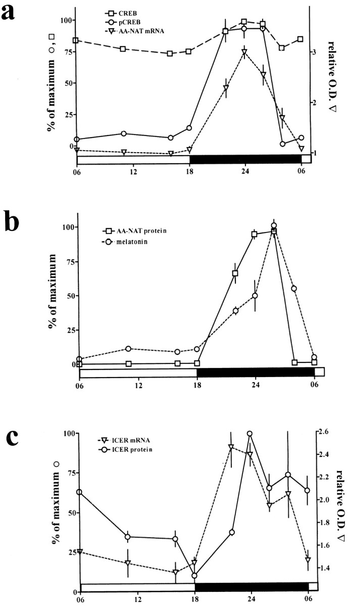 Fig. 8.