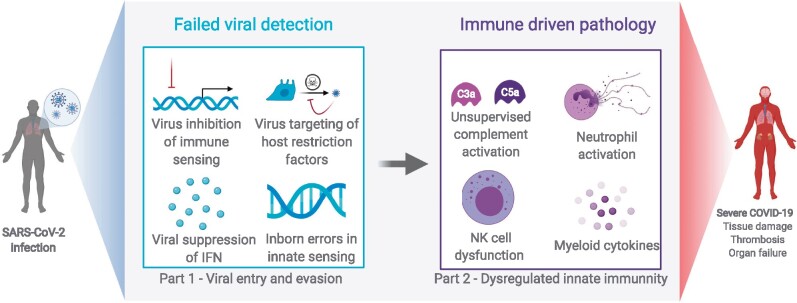 Graphical Abstract