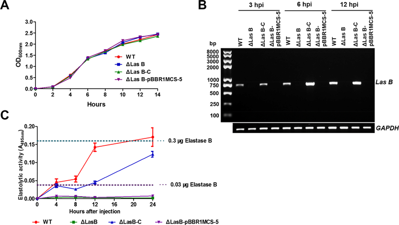 Figure 4.