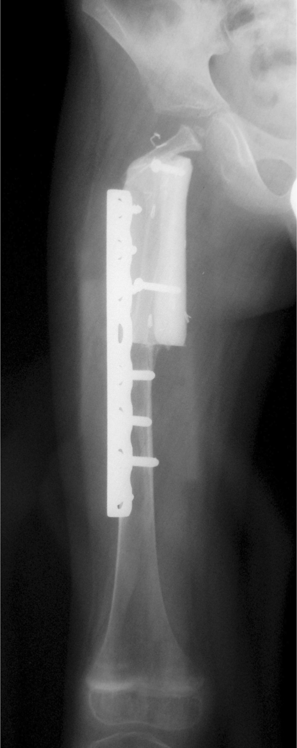Fig. 3