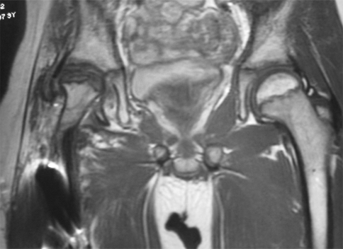 Fig. 5