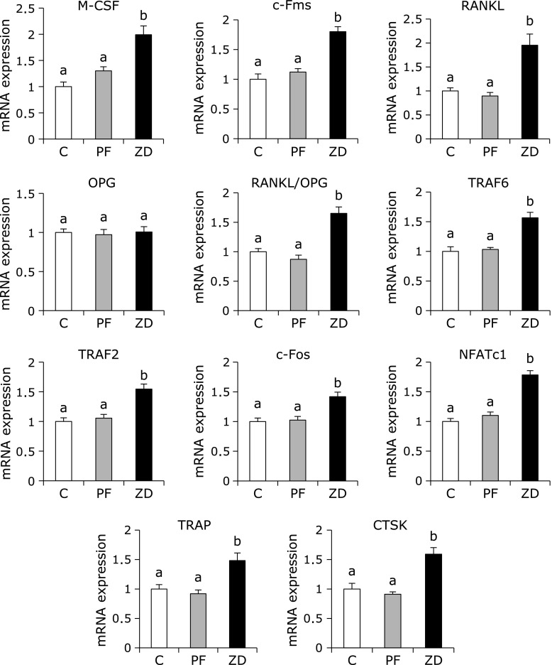 Fig. 2