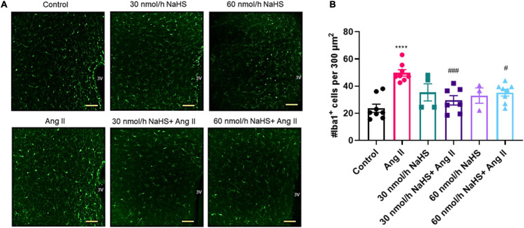 FIGURE 3