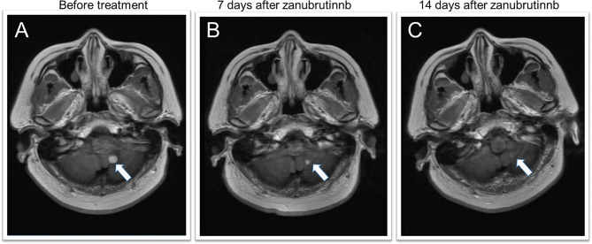 Figure 2