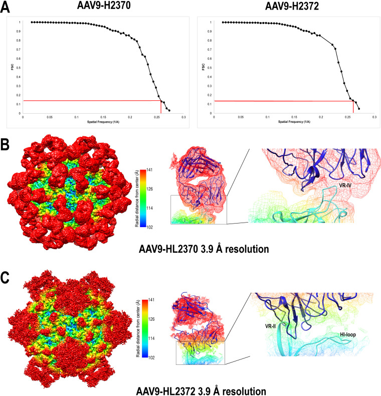 FIG 3