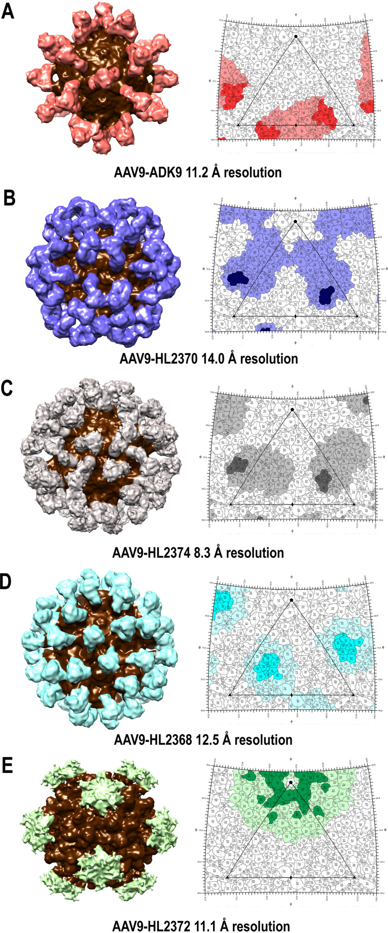 FIG 2