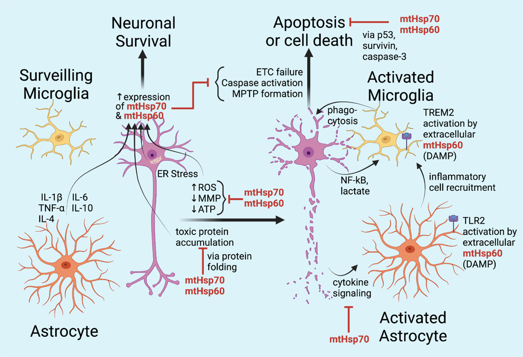 Figure 4: