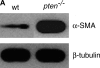 <b>Figure 2.</b>