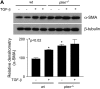 <b>Figure 5.</b>