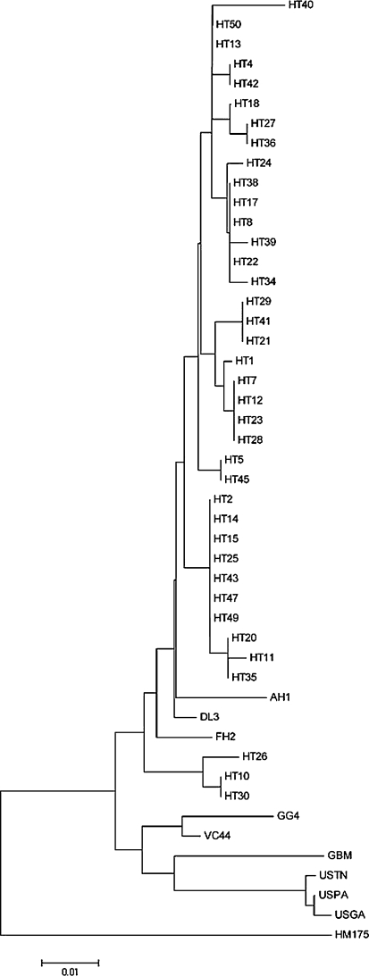 Fig. 4