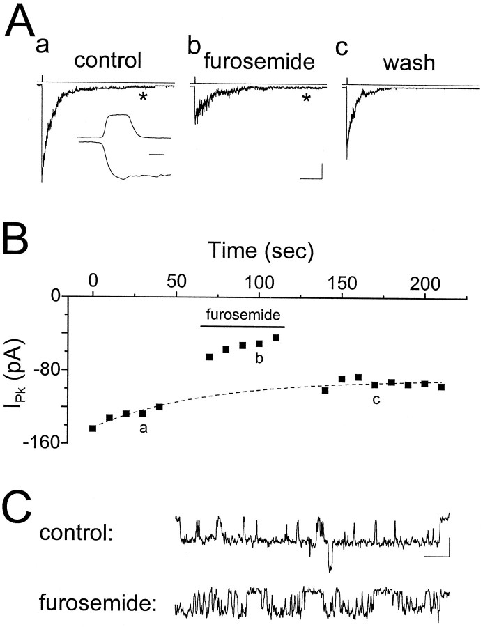 Fig. 11.