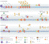 Figure 2 |