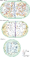 Figure 3 |