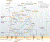 Figure 1 |