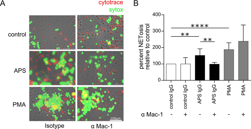 Figure 6: