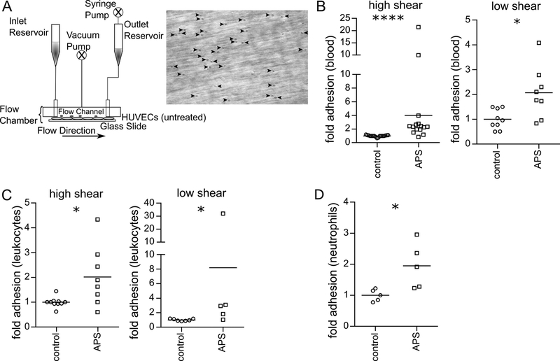 Figure 1: