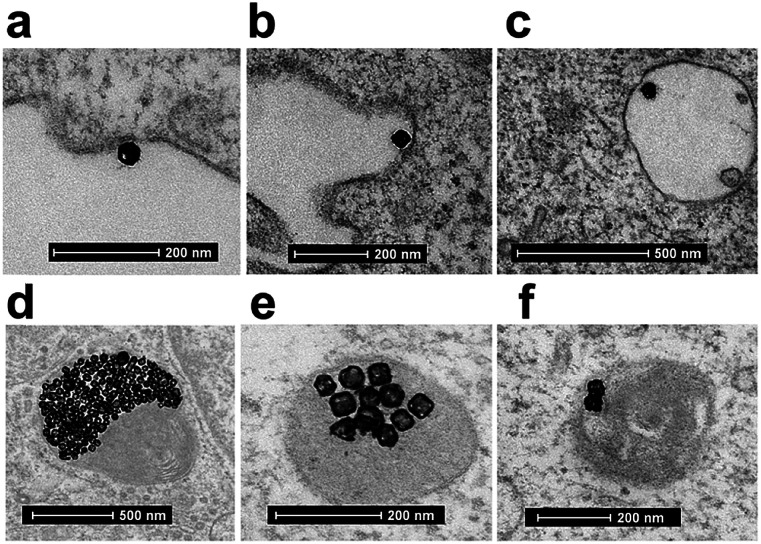 Fig. 7