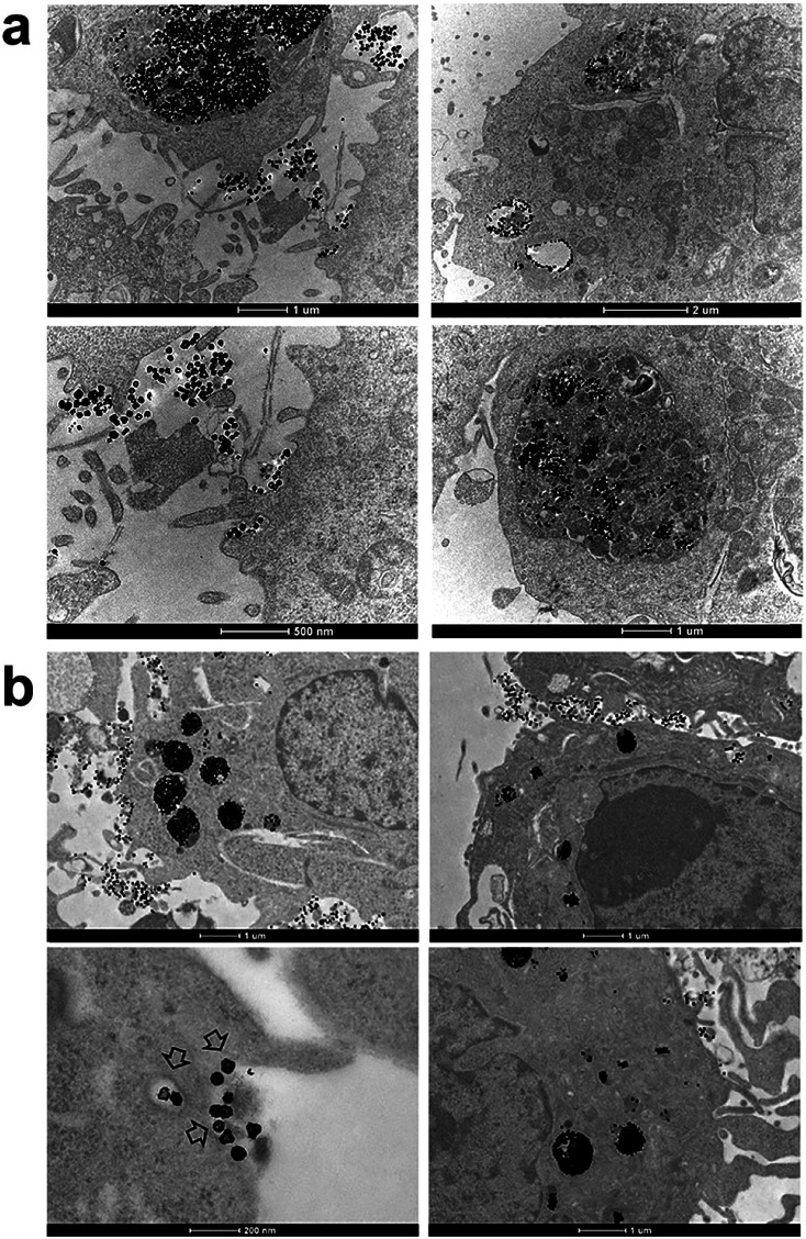 Fig. 6