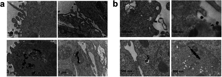 Fig. 8