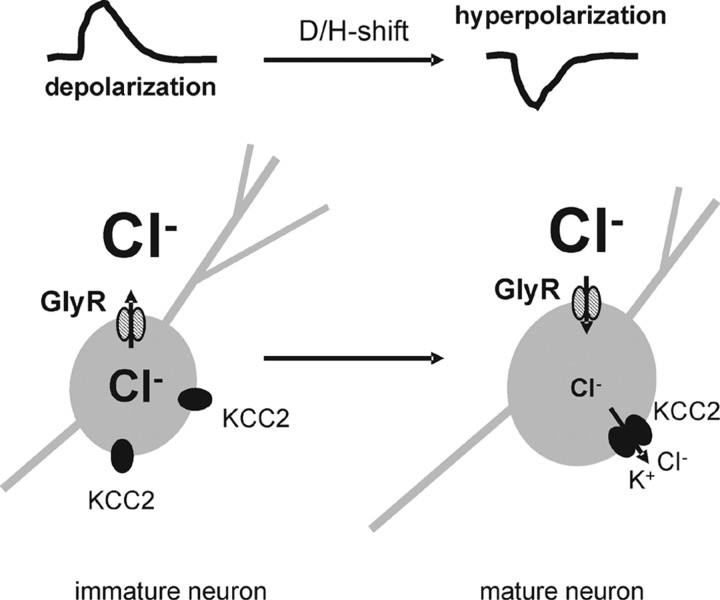 Figure 12.