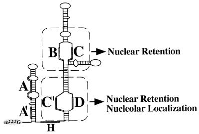 FIG. 8