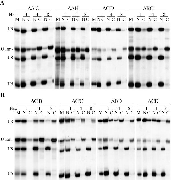 FIG. 3