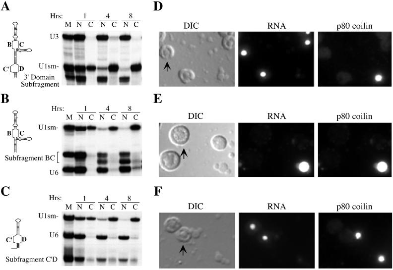 FIG. 7