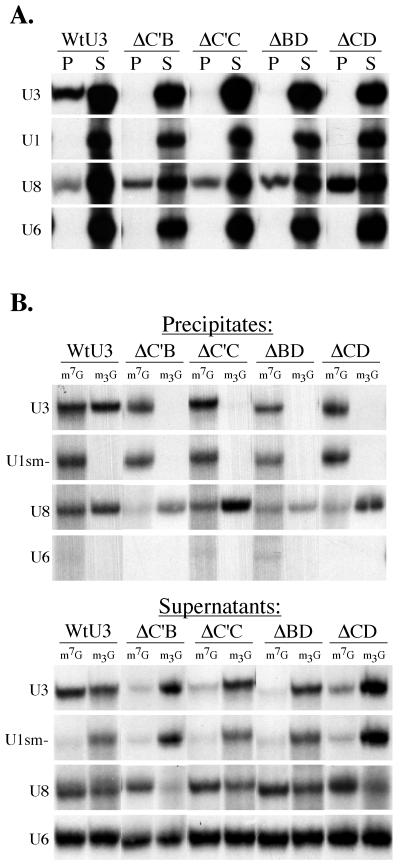 FIG. 6