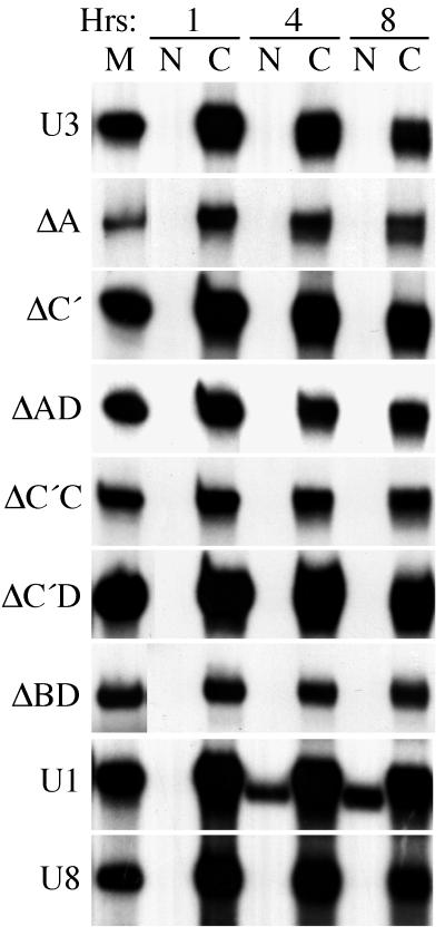 FIG. 4