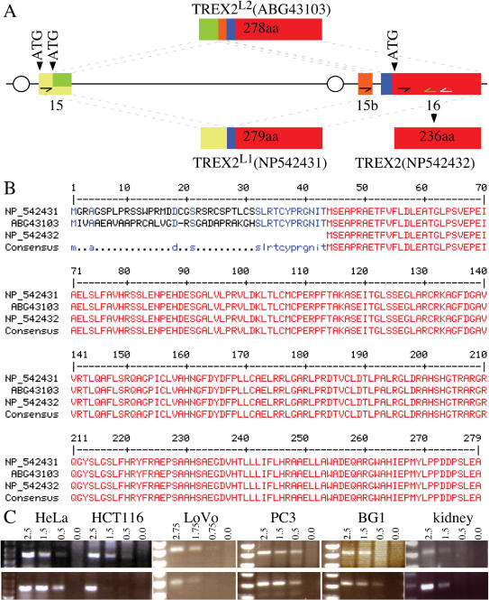 Figure 3.