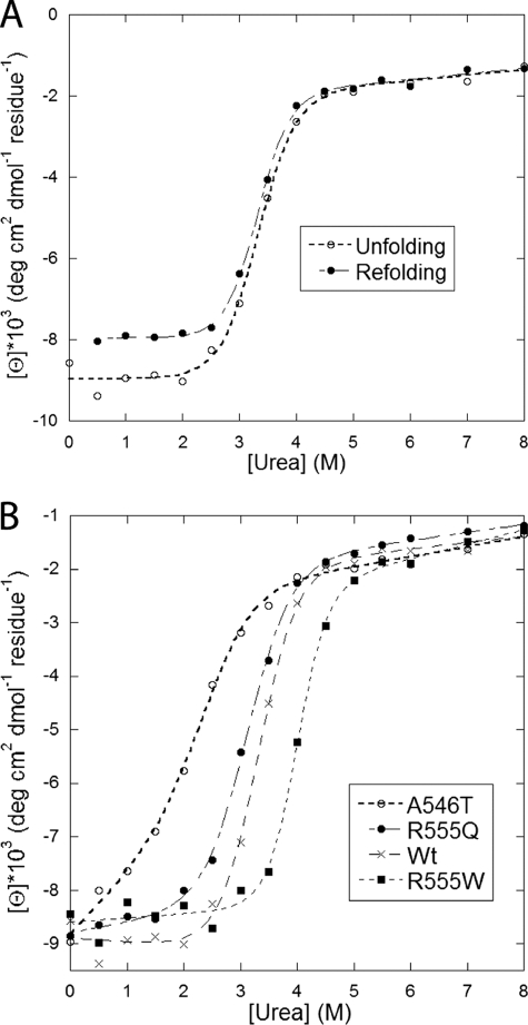 FIGURE 5.