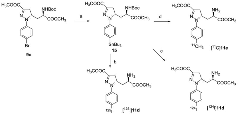 Scheme 3