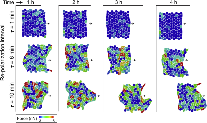 Figure 4