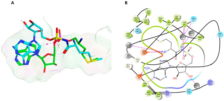 Figure 10