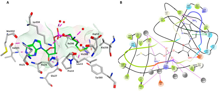 Figure 9