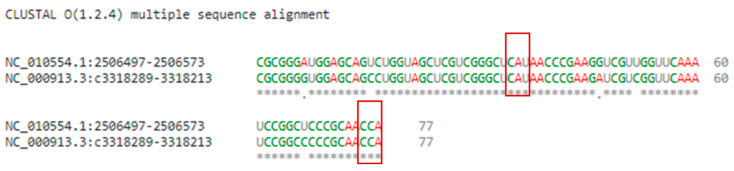 Figure 12