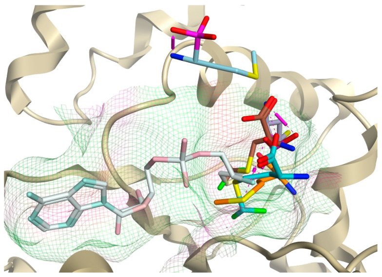 Figure 11