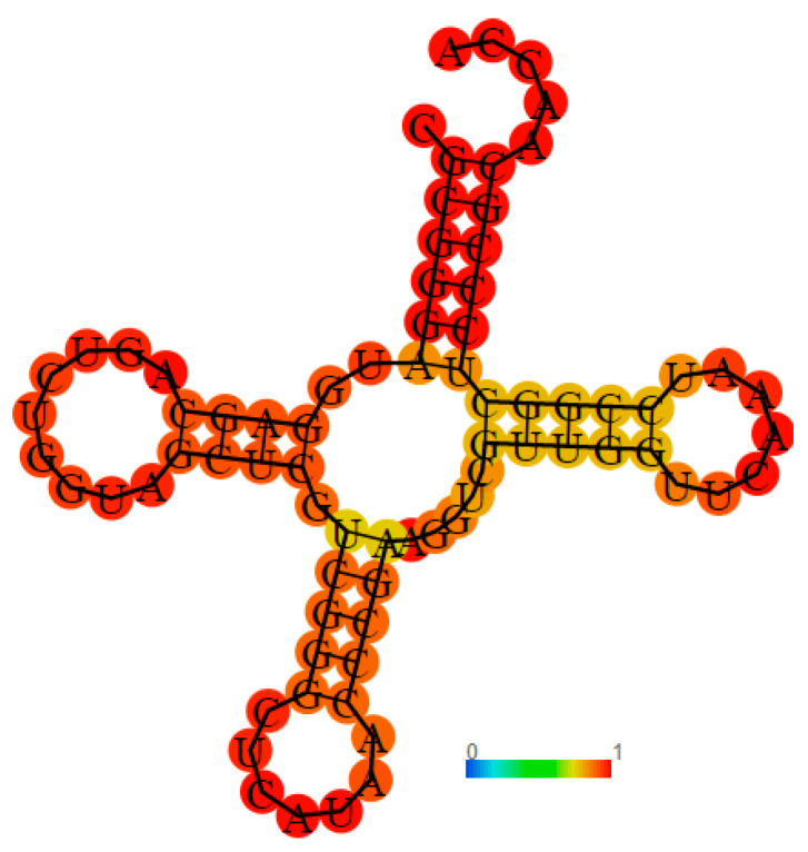 Figure 13